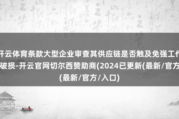开云体育条款大型企业审查其供应链是否触及免强工作或环境破损-开云官网切尔西赞助商(2024已更新(最新/官方/入口)